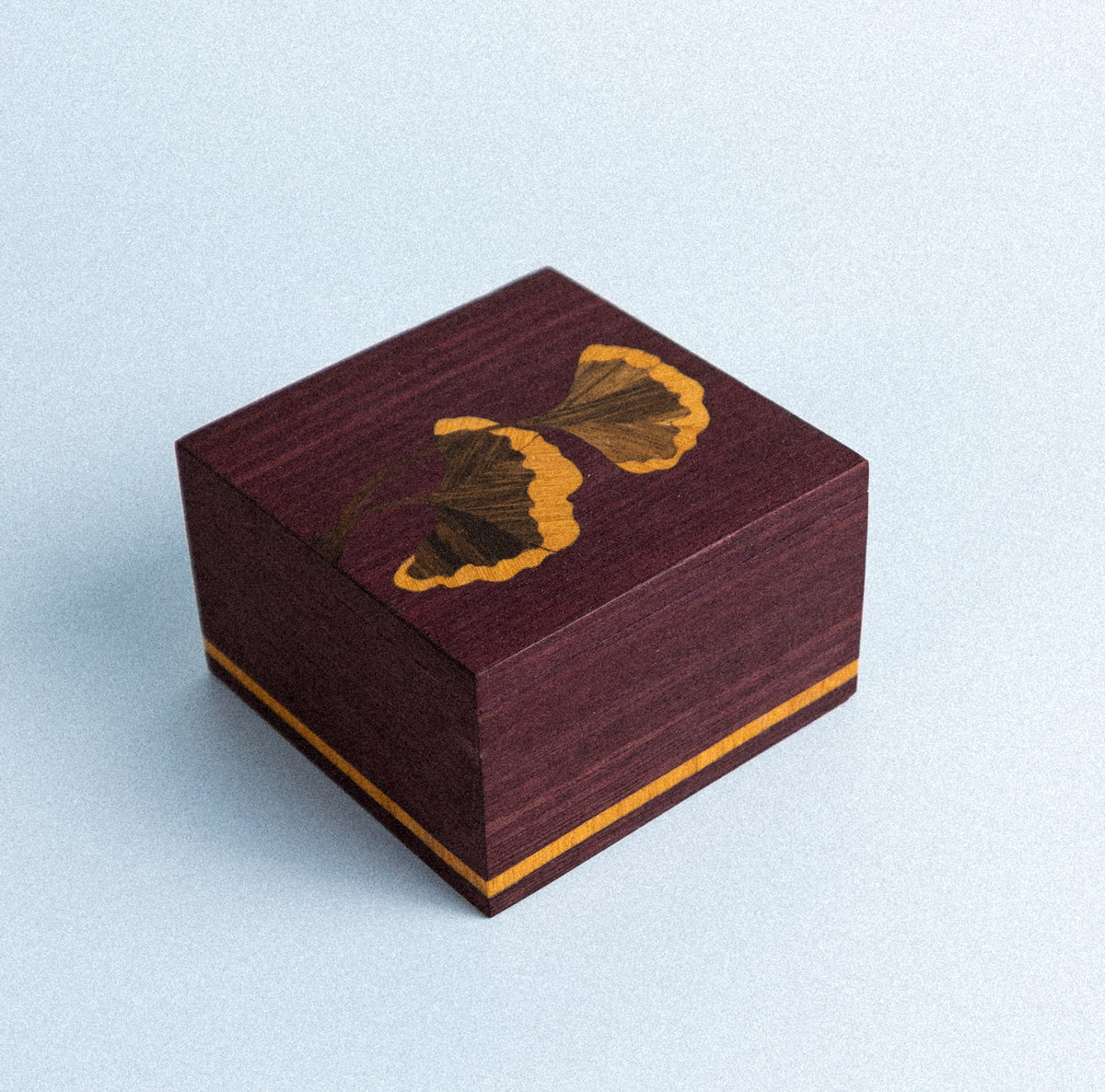 Caja Ginkgo Biloba