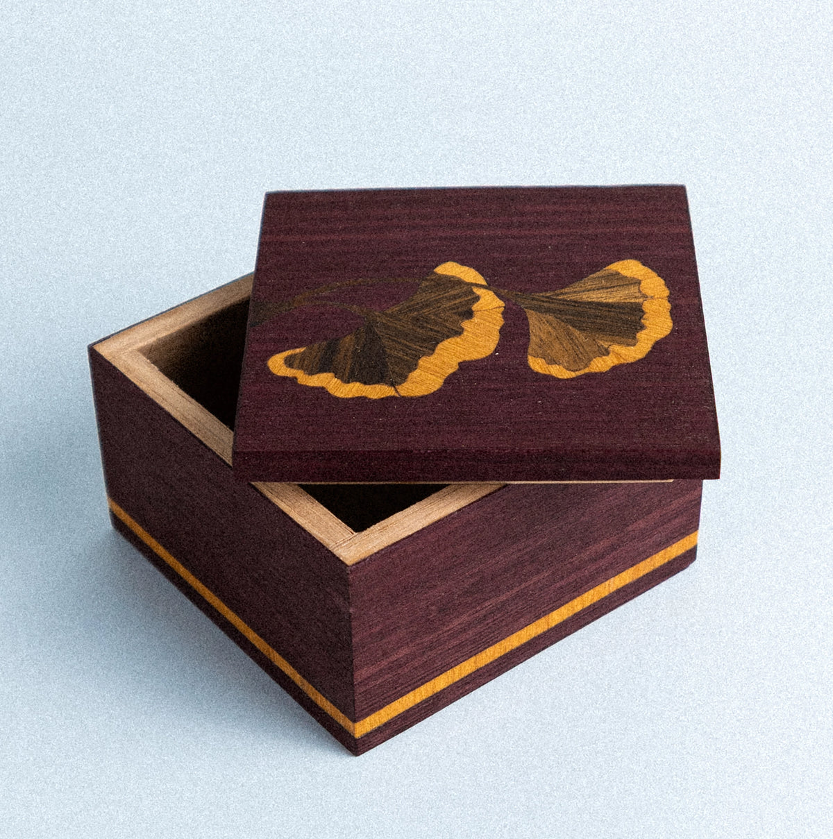 Caja Ginkgo Biloba