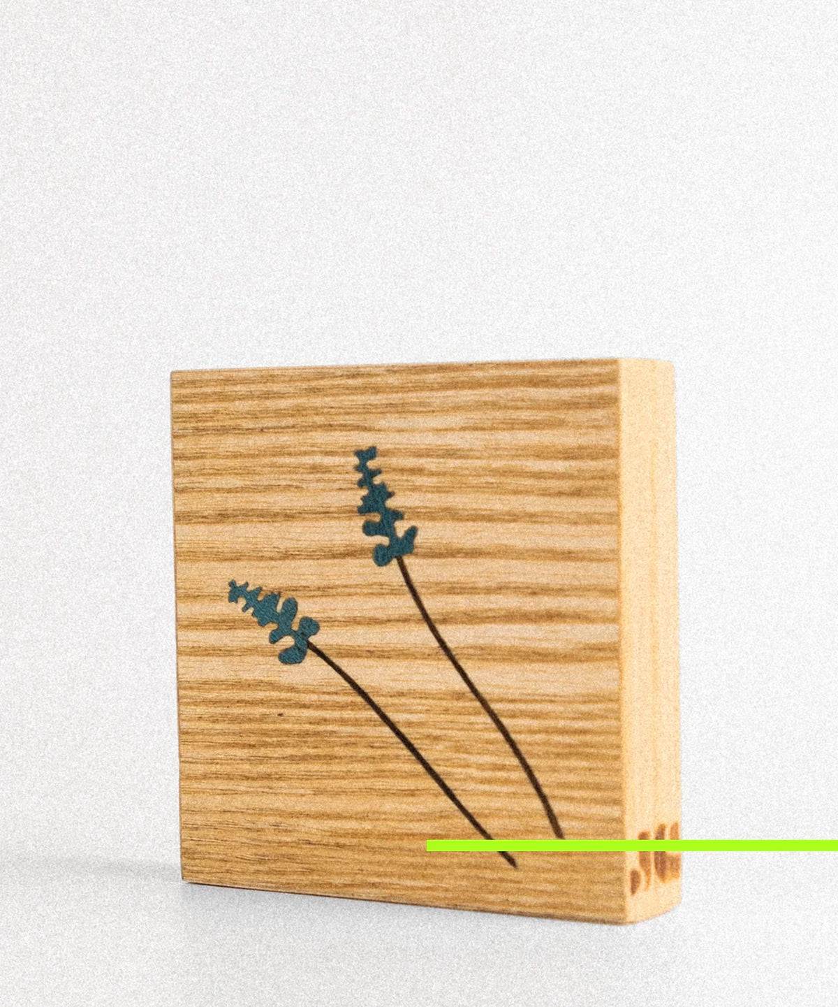 Quadro Lavanda