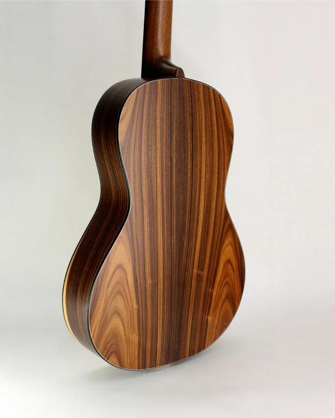 The back