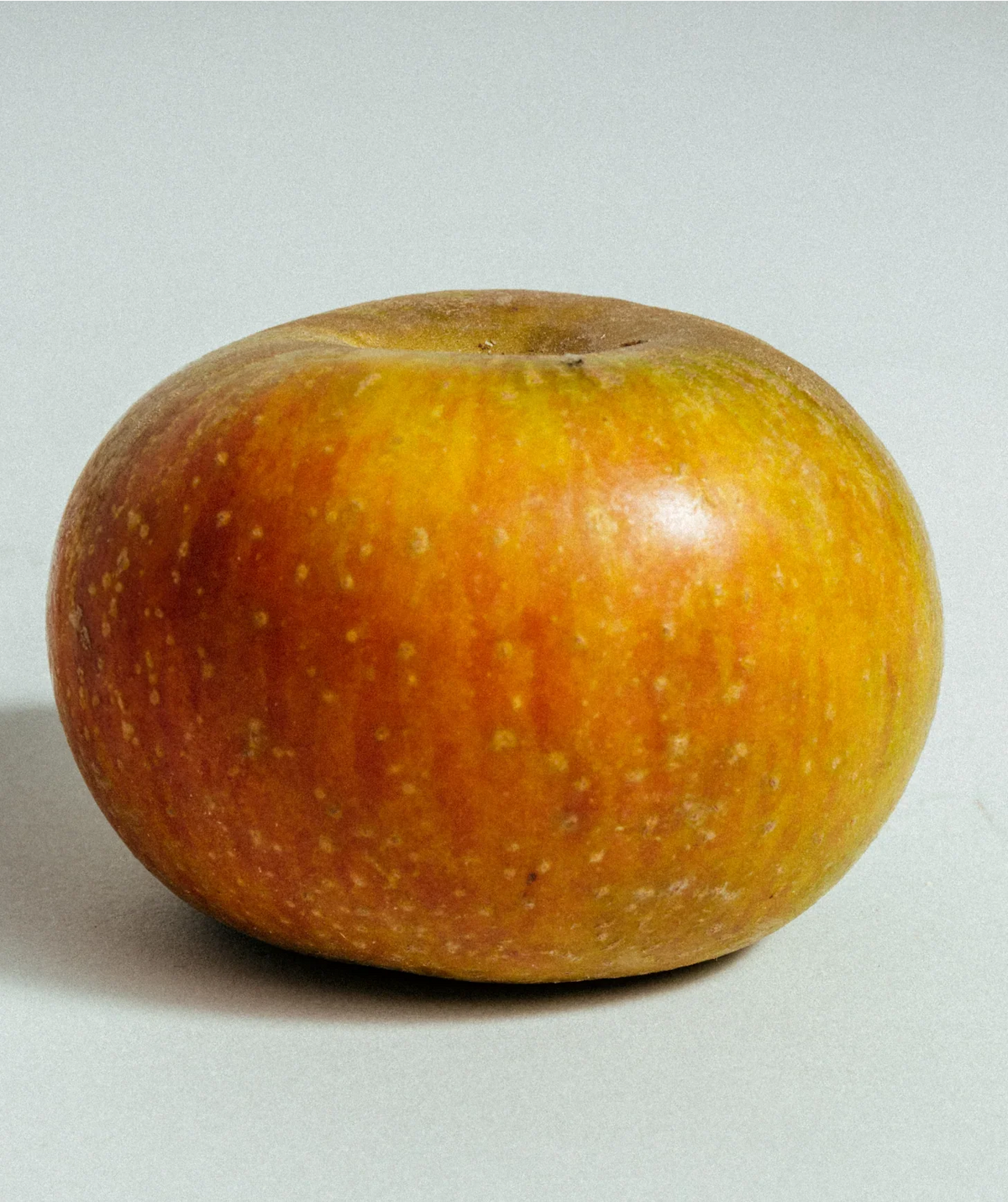 Maçã Porta da Loja (aprox. 1kg) em contexto, peça artesanal da coleção Ra-Ro de Beira Baixa