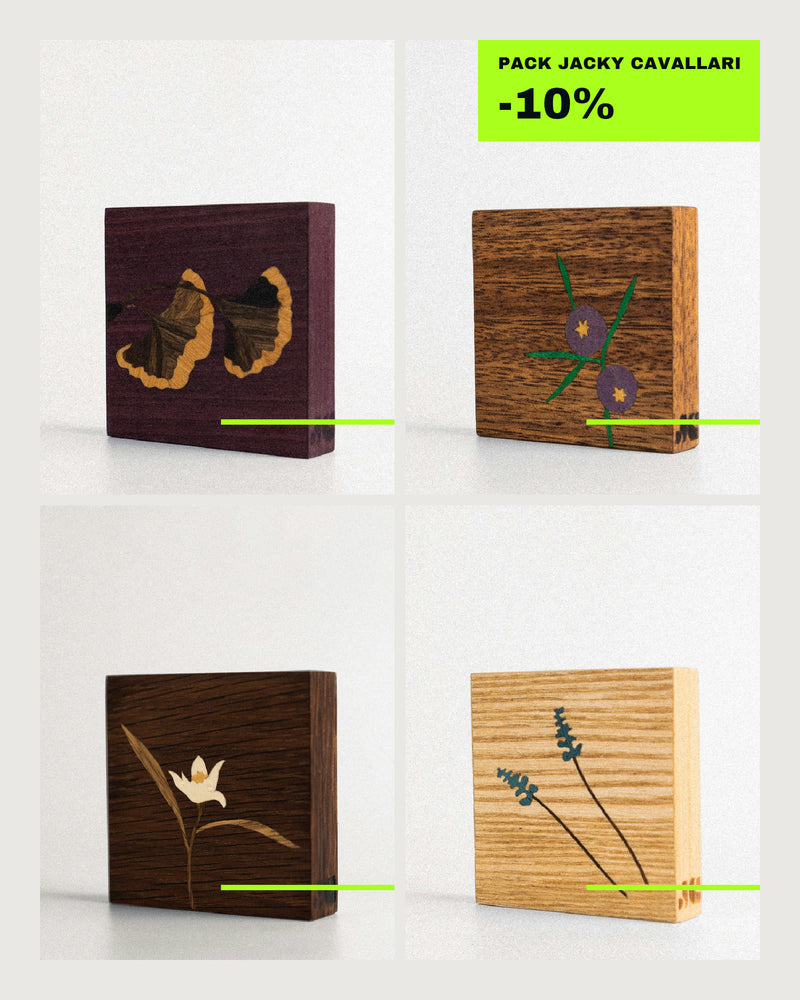 Pack Herbário Completo: quatro quadros botânicos