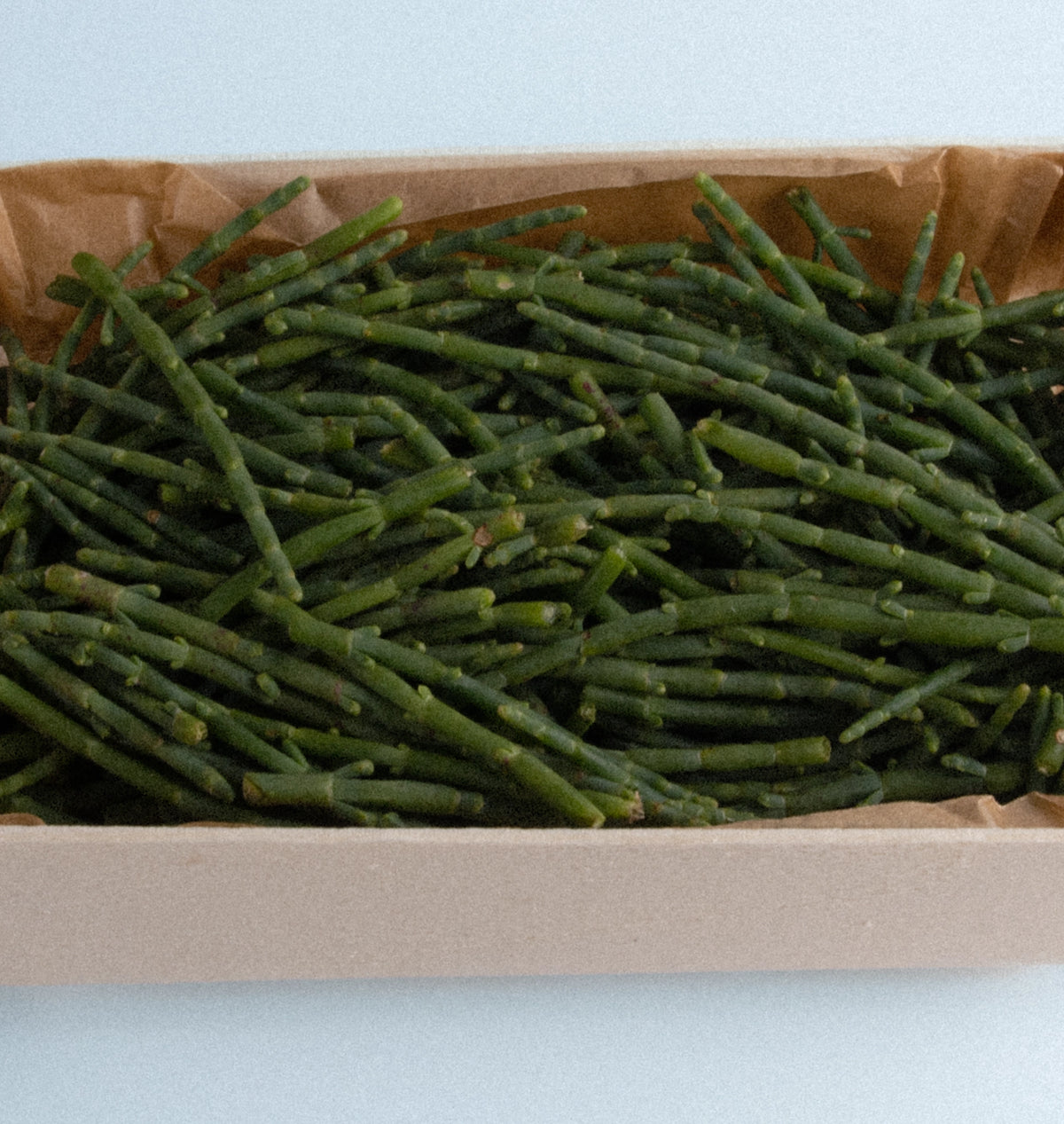 069 Salicórnia Crunchy BIO 120 g, peça artesanal de Salina Greens, vista 4
