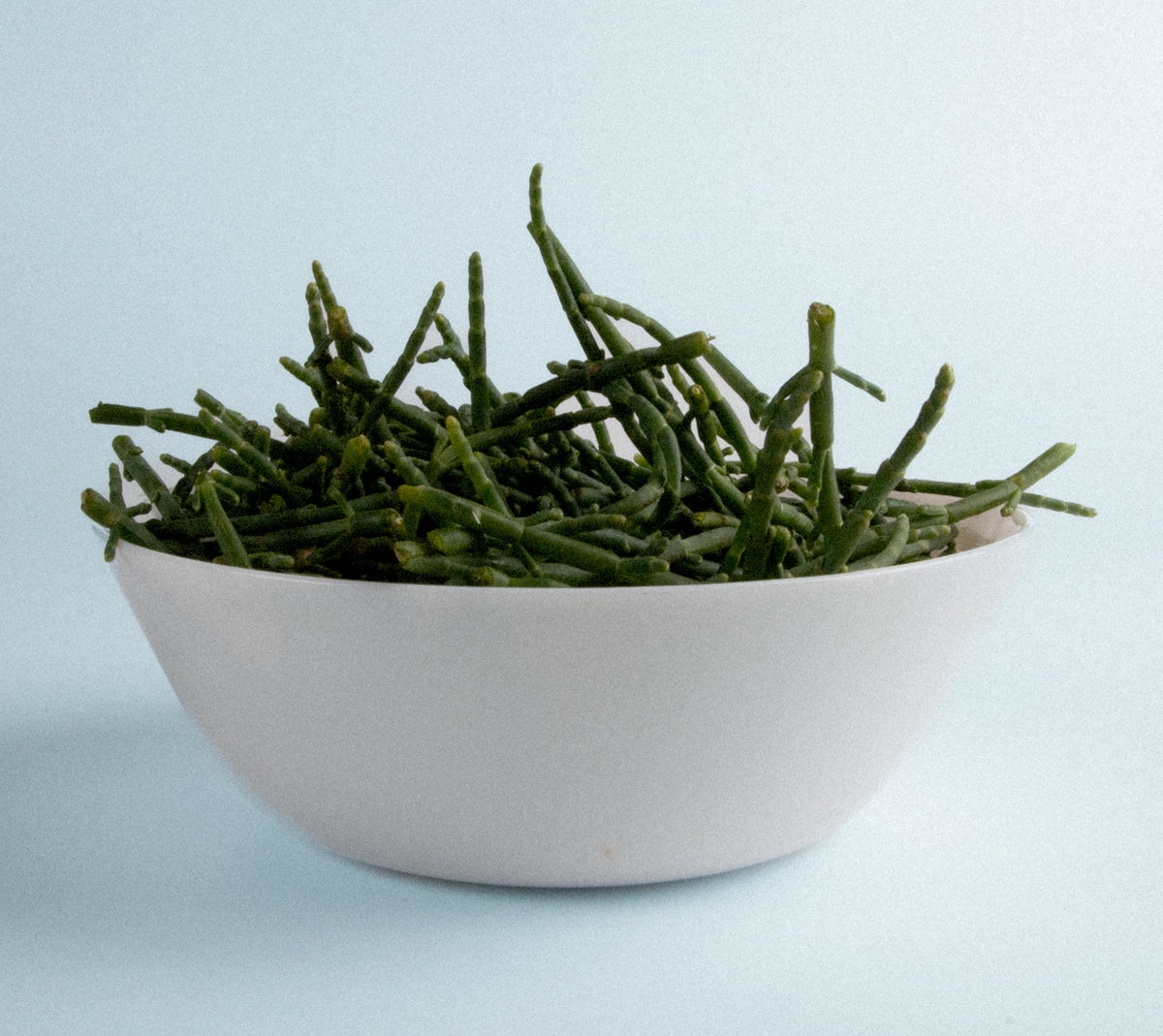 069 Salicórnia Crunchy BIO 120 g, peça artesanal de Salina Greens, vista 2