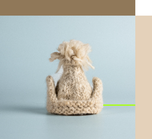 Miniature Regional Ear Cap