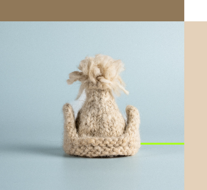 Miniature Regional Ear Cap