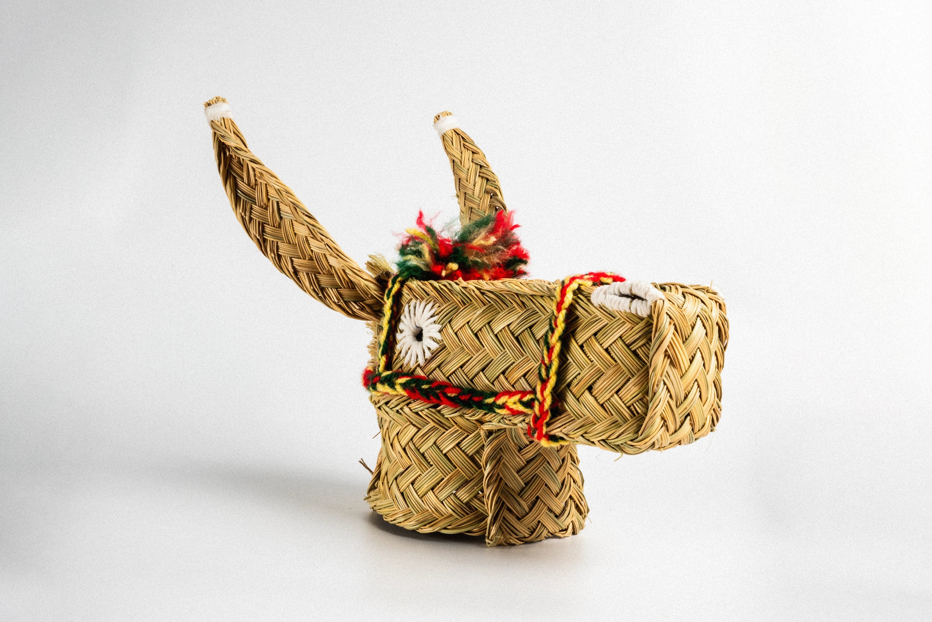 Cabeça de Burro