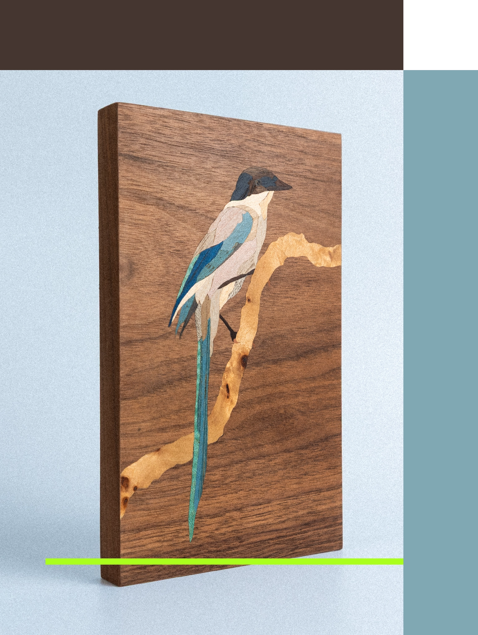 Quadro Pega Azul