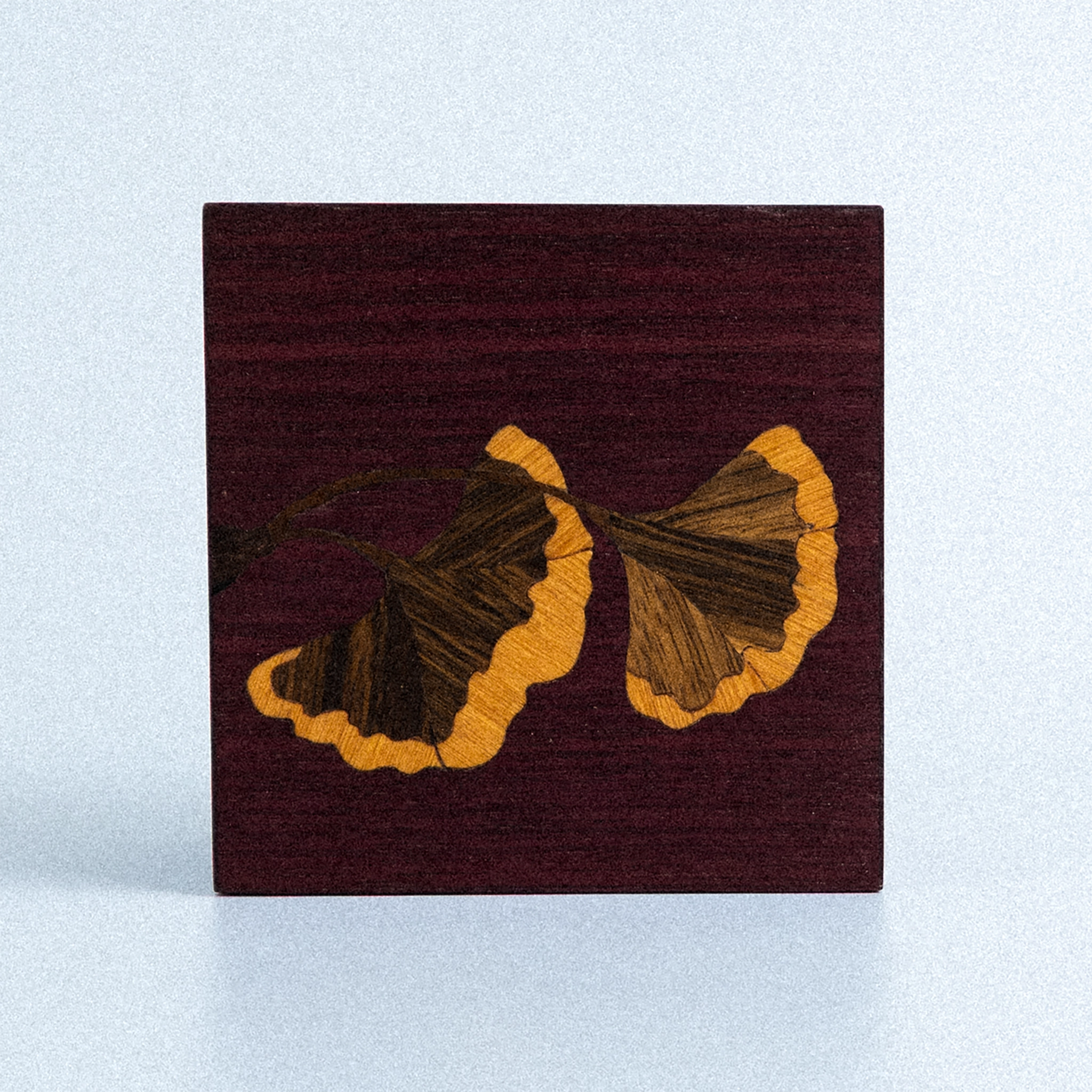 Quadro Gingko Biloba