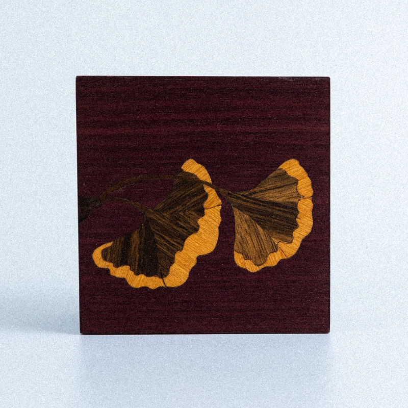Quadro Gingko Biloba