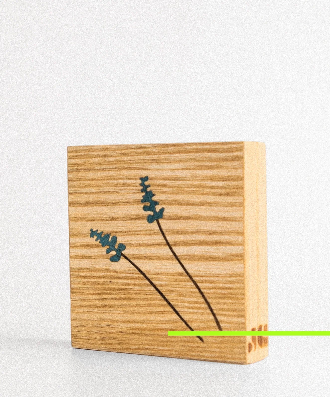 Quadro Lavanda