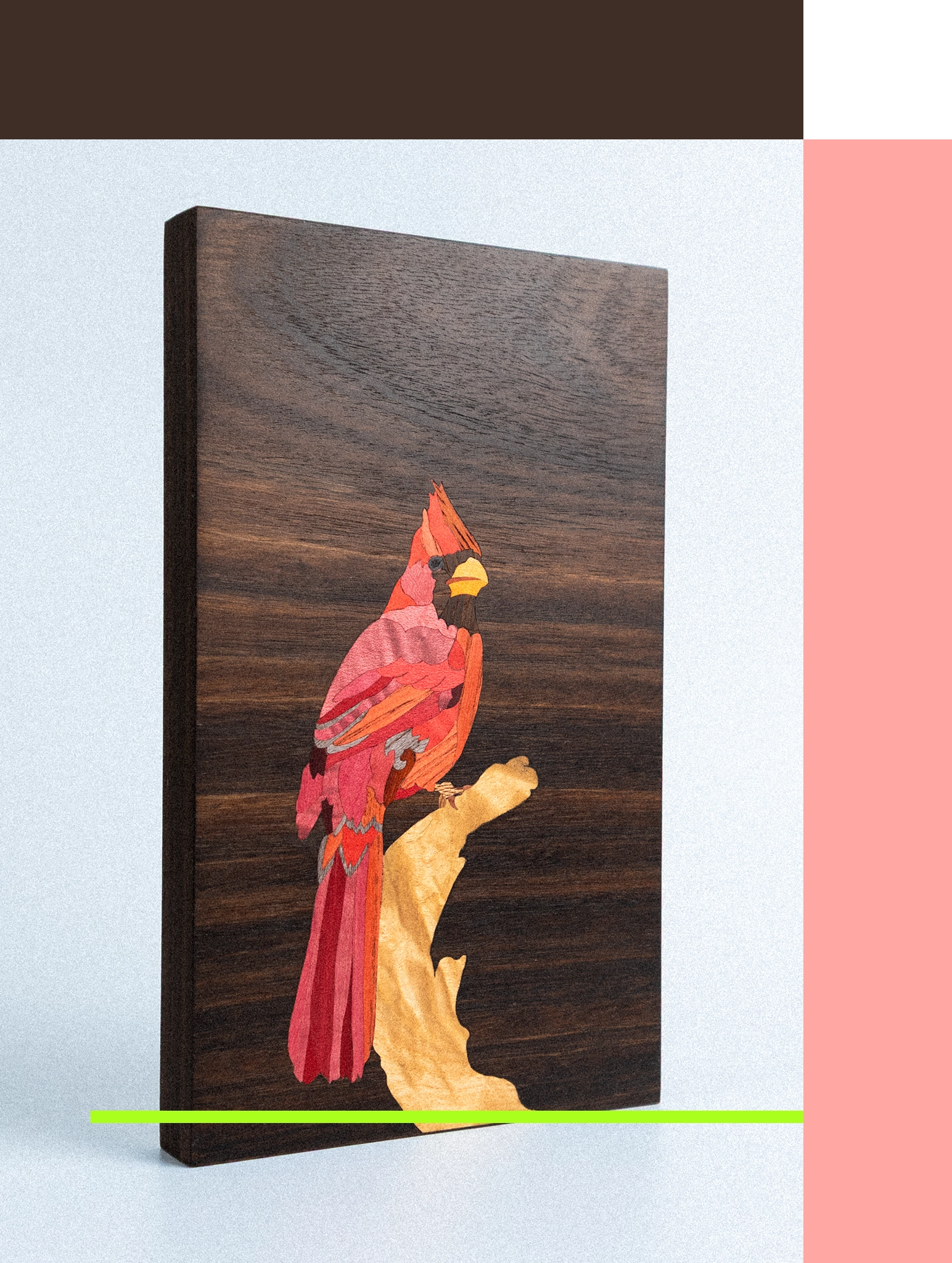 Quadro Cardeal do Norte