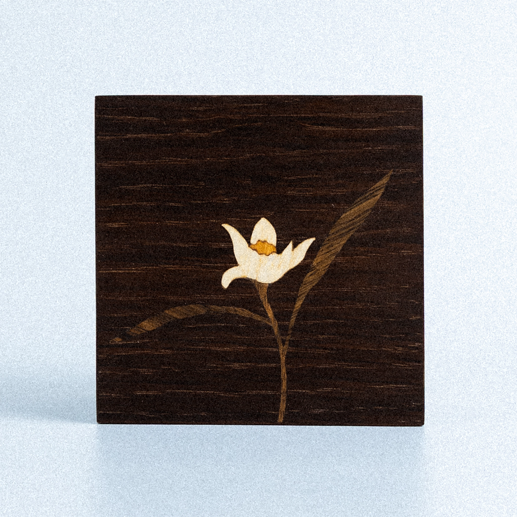 Quadro Flor de Laranjeira