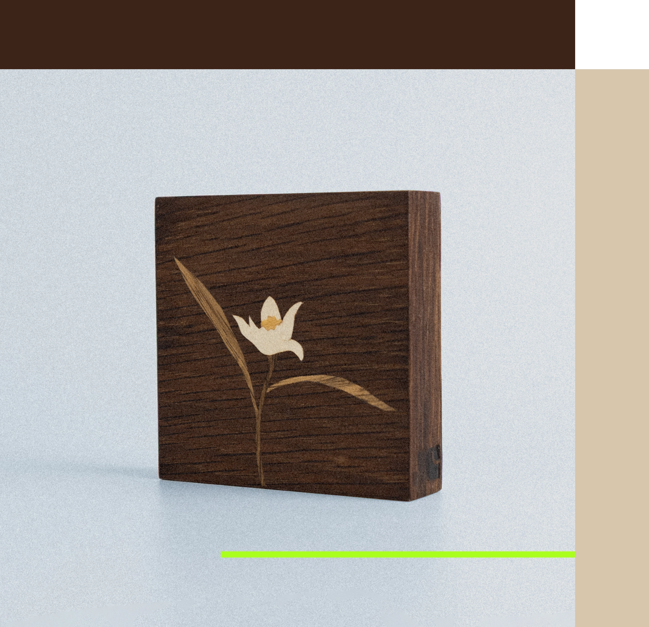 Quadro Flor de Laranjeira