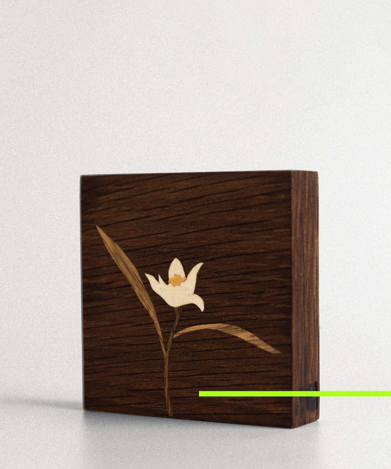 Quadro Flor de Laranjeira