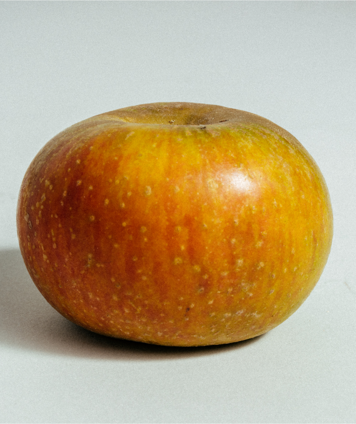 Porta da Loja Apple (approx. 1kg)