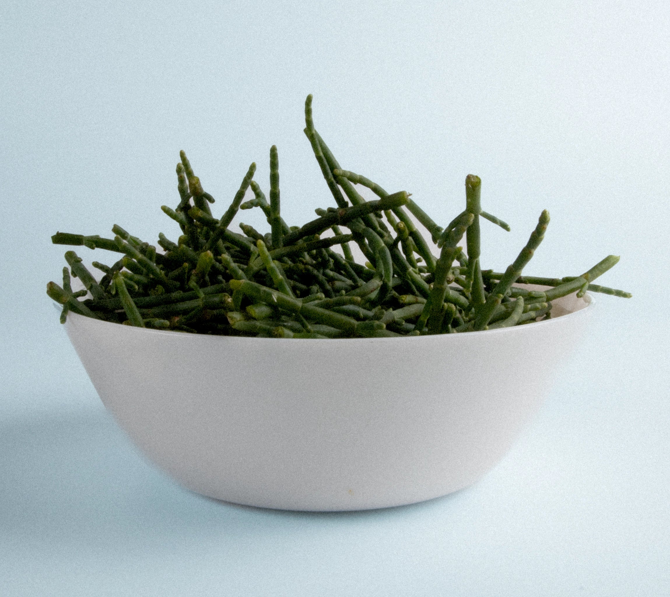 069 Salicórnia Crunchy BIO 120 g, peça artesanal de Salina Greens, vista 2